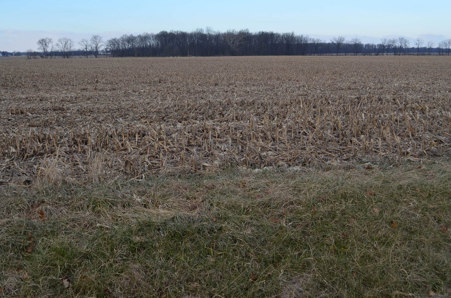 LAND AUCTION - 19.55+/- ACRES IN 1 TRACT IN ALLEN COUNTY, INDIANA